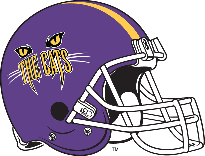 Western Carolina Catamounts 1996-2007 Helmet Logo iron on paper